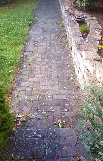 Steinmauer- und Pflasterreinigung in Rödermark vor der Reinigung