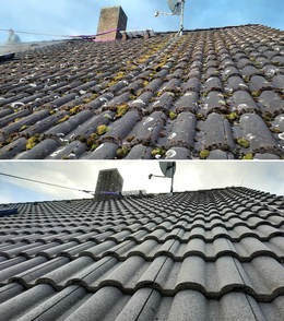 Dachziegel-Nahansicht vor und nach unserer professionellen Dachreinigung in Babenhausen